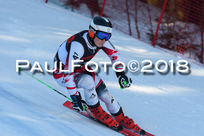Int. FIS Rennen Herren, RS, Maria Alm 10.01.2018