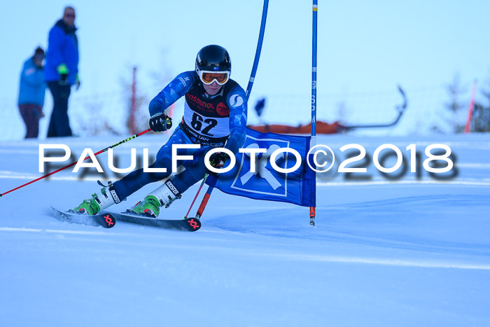 Int. FIS Rennen Herren, RS, Maria Alm 10.01.2018