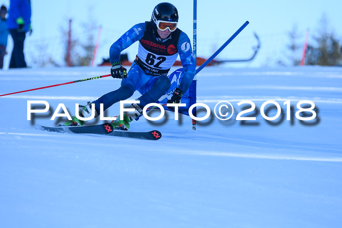Int. FIS Rennen Herren, RS, Maria Alm 10.01.2018