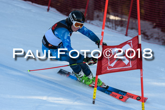 Int. FIS Rennen Herren, RS, Maria Alm 10.01.2018