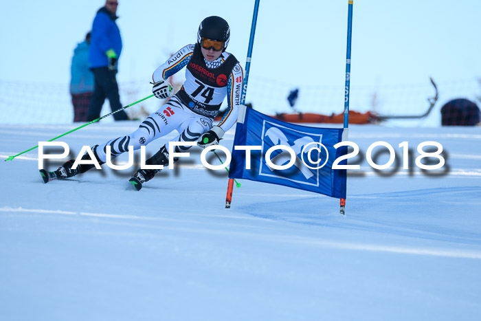 Int. FIS Rennen Herren, RS, Maria Alm 10.01.2018