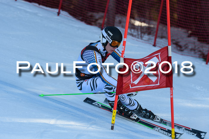 Int. FIS Rennen Herren, RS, Maria Alm 10.01.2018