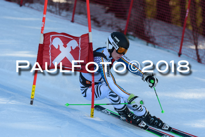 Int. FIS Rennen Herren, RS, Maria Alm 10.01.2018