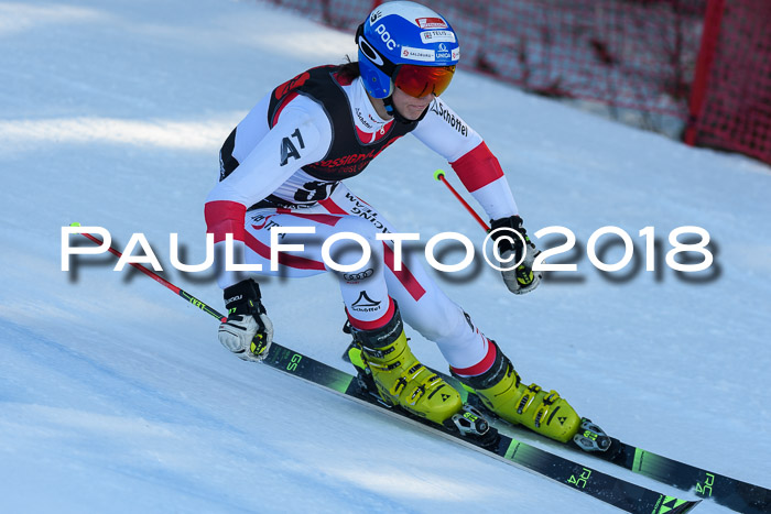 Int. FIS Rennen Herren, RS, Maria Alm 10.01.2018
