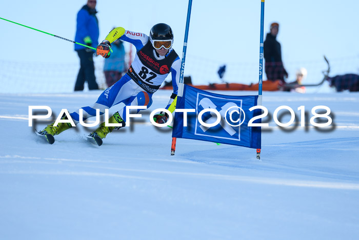 Int. FIS Rennen Herren, RS, Maria Alm 10.01.2018
