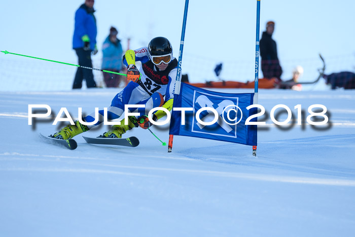 Int. FIS Rennen Herren, RS, Maria Alm 10.01.2018