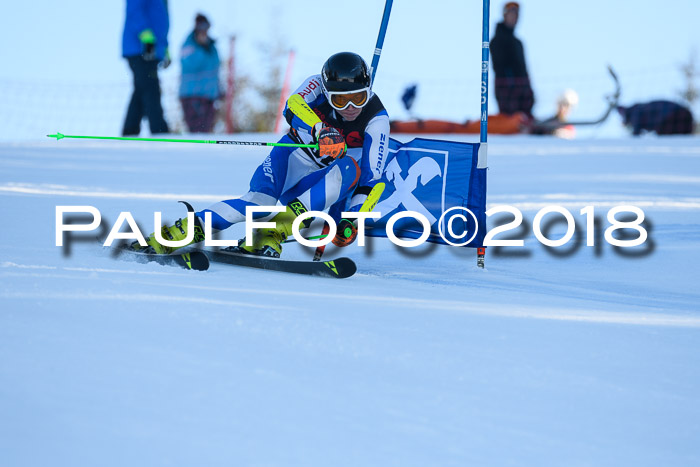 Int. FIS Rennen Herren, RS, Maria Alm 10.01.2018