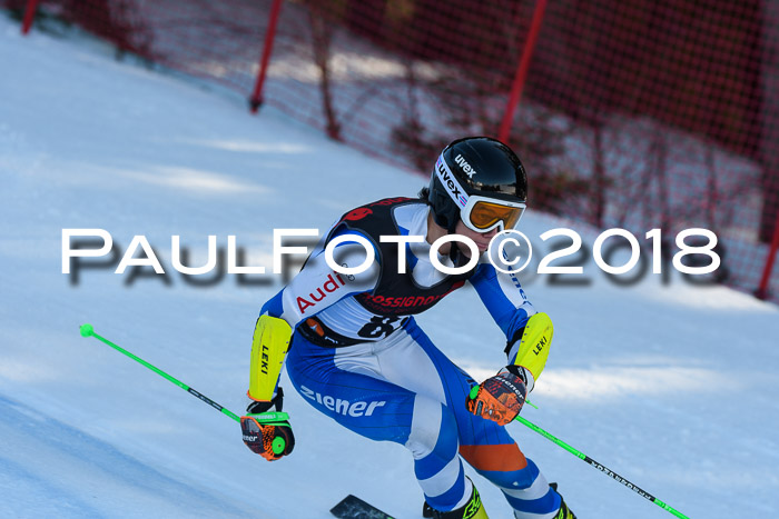 Int. FIS Rennen Herren, RS, Maria Alm 10.01.2018