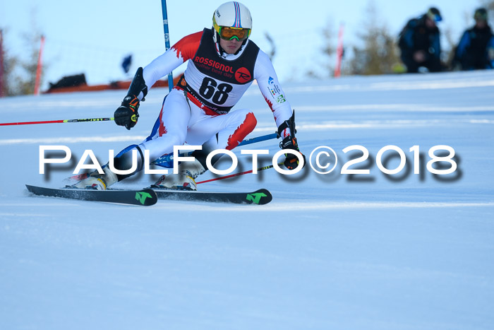 Int. FIS Rennen Herren, RS, Maria Alm 10.01.2018