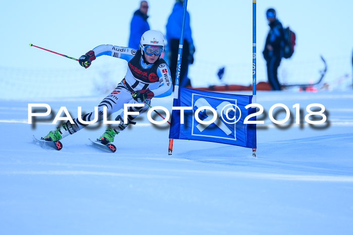 Int. FIS Rennen Herren, RS, Maria Alm 10.01.2018
