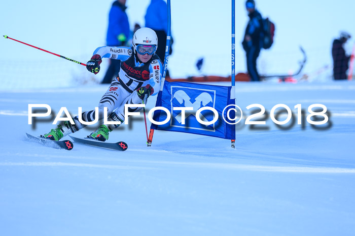 Int. FIS Rennen Herren, RS, Maria Alm 10.01.2018