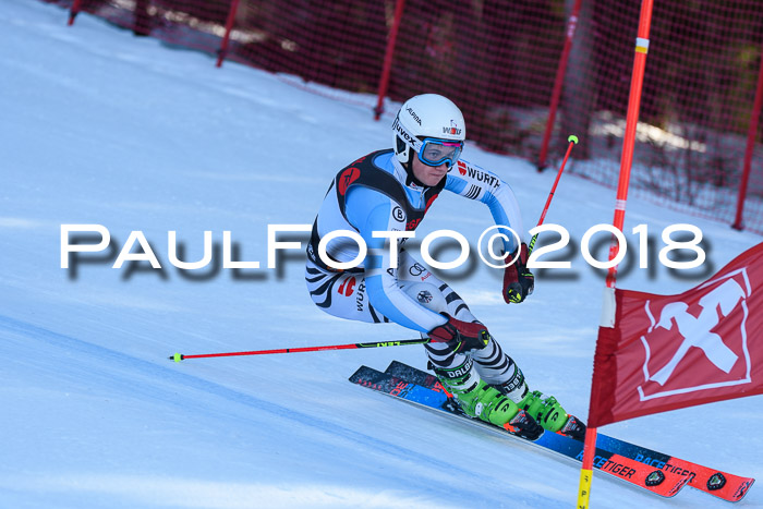 Int. FIS Rennen Herren, RS, Maria Alm 10.01.2018