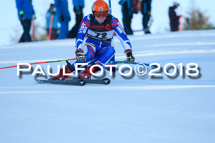 Int. FIS Rennen Herren, RS, Maria Alm 10.01.2018