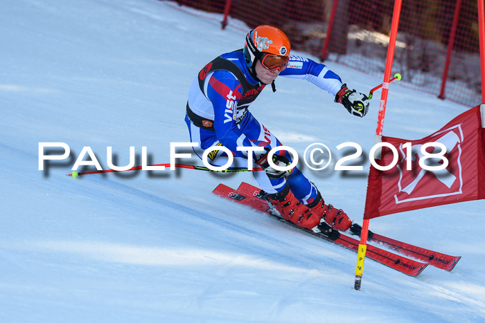 Int. FIS Rennen Herren, RS, Maria Alm 10.01.2018