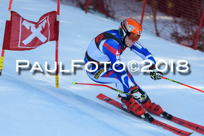 Int. FIS Rennen Herren, RS, Maria Alm 10.01.2018