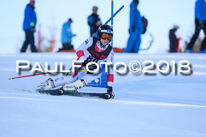 Int. FIS Rennen Herren, RS, Maria Alm 10.01.2018