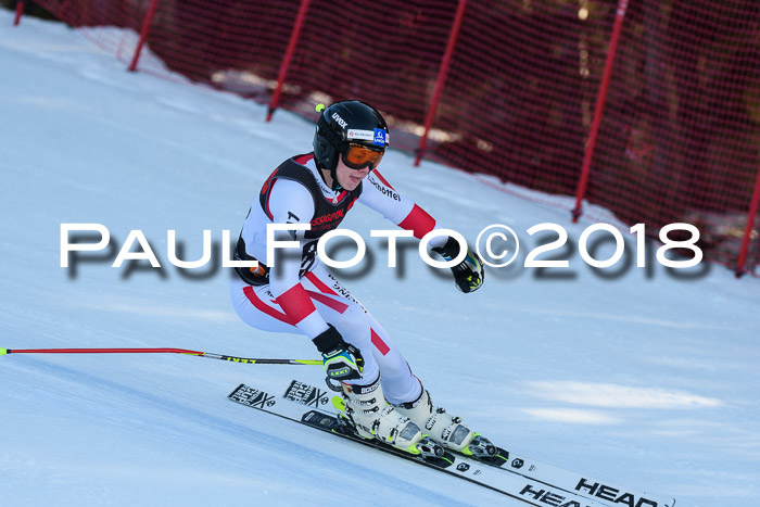 Int. FIS Rennen Herren, RS, Maria Alm 10.01.2018
