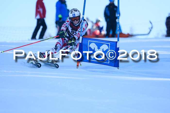 Int. FIS Rennen Herren, RS, Maria Alm 10.01.2018