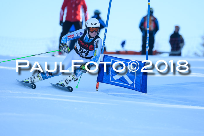 Int. FIS Rennen Herren, RS, Maria Alm 10.01.2018