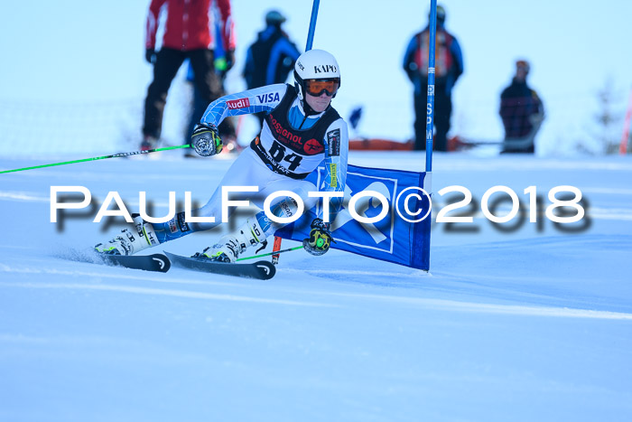 Int. FIS Rennen Herren, RS, Maria Alm 10.01.2018