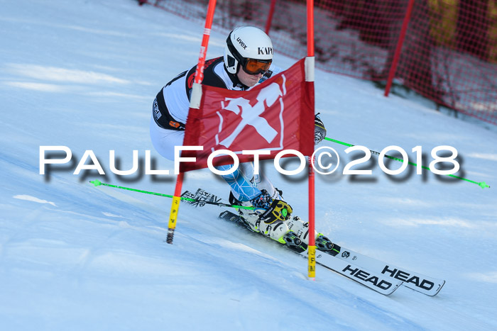 Int. FIS Rennen Herren, RS, Maria Alm 10.01.2018