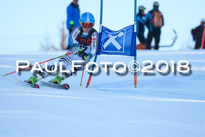 Int. FIS Rennen Herren, RS, Maria Alm 10.01.2018