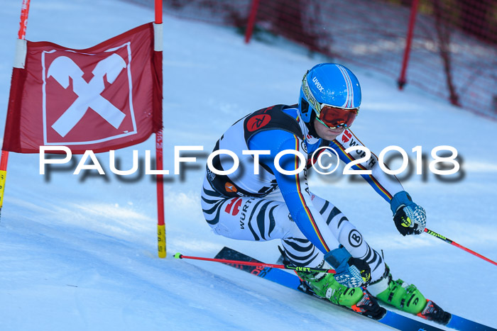 Int. FIS Rennen Herren, RS, Maria Alm 10.01.2018