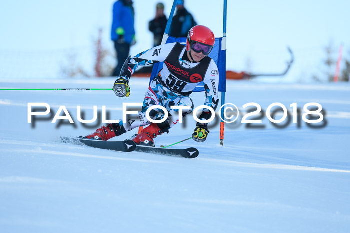 Int. FIS Rennen Herren, RS, Maria Alm 10.01.2018