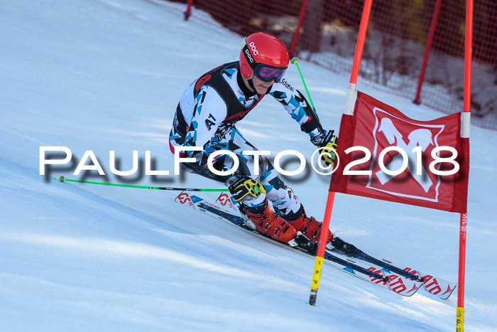 Int. FIS Rennen Herren, RS, Maria Alm 10.01.2018