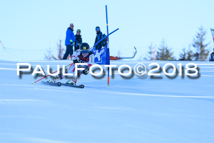 Int. FIS Rennen Herren, RS, Maria Alm 10.01.2018