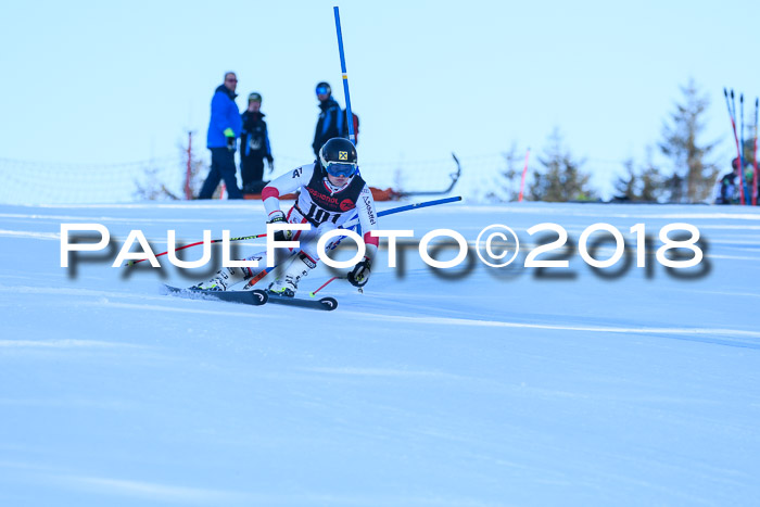 Int. FIS Rennen Herren, RS, Maria Alm 10.01.2018