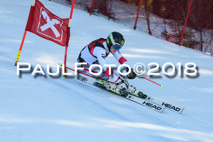 Int. FIS Rennen Herren, RS, Maria Alm 10.01.2018