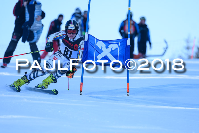 Int. FIS Rennen Herren, RS, Maria Alm 10.01.2018