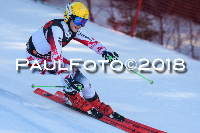 Int. FIS Rennen Herren, RS, Maria Alm 10.01.2018