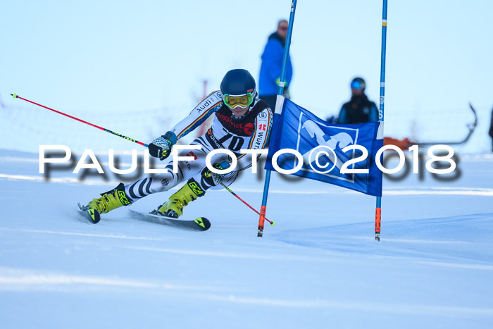 Int. FIS Rennen Herren, RS, Maria Alm 10.01.2018