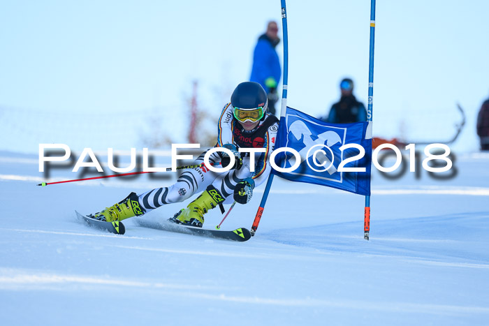Int. FIS Rennen Herren, RS, Maria Alm 10.01.2018