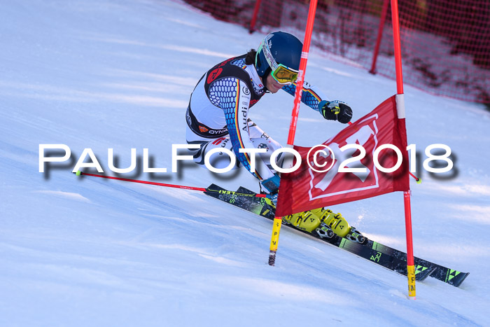 Int. FIS Rennen Herren, RS, Maria Alm 10.01.2018