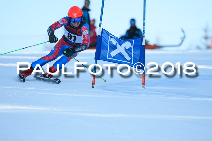 Int. FIS Rennen Herren, RS, Maria Alm 10.01.2018
