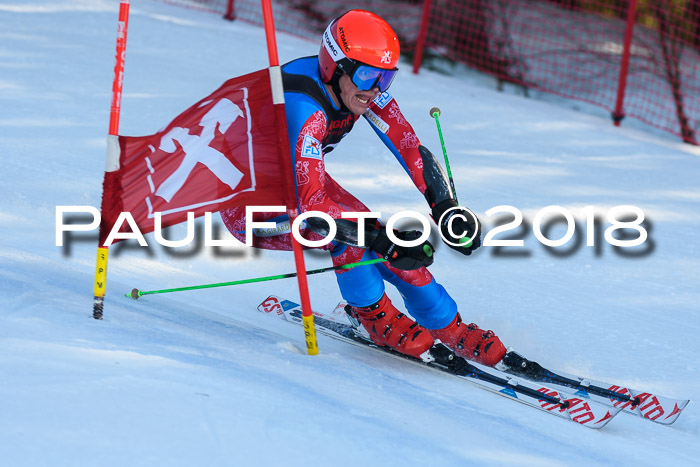 Int. FIS Rennen Herren, RS, Maria Alm 10.01.2018