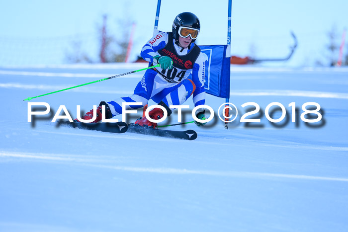 Int. FIS Rennen Herren, RS, Maria Alm 10.01.2018