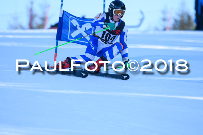 Int. FIS Rennen Herren, RS, Maria Alm 10.01.2018