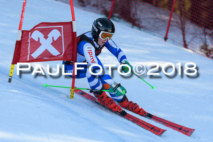 Int. FIS Rennen Herren, RS, Maria Alm 10.01.2018