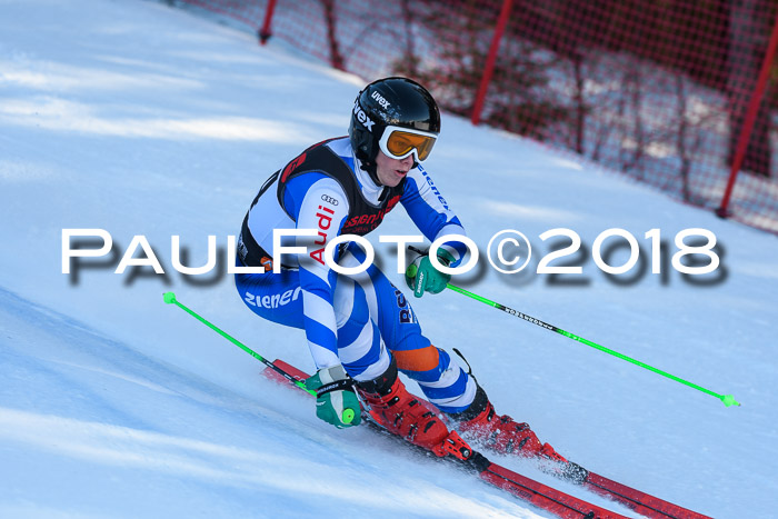 Int. FIS Rennen Herren, RS, Maria Alm 10.01.2018