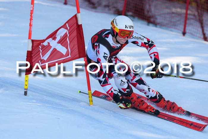 Int. FIS Rennen Herren, RS, Maria Alm 10.01.2018