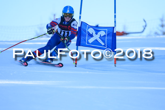 Int. FIS Rennen Herren, RS, Maria Alm 10.01.2018