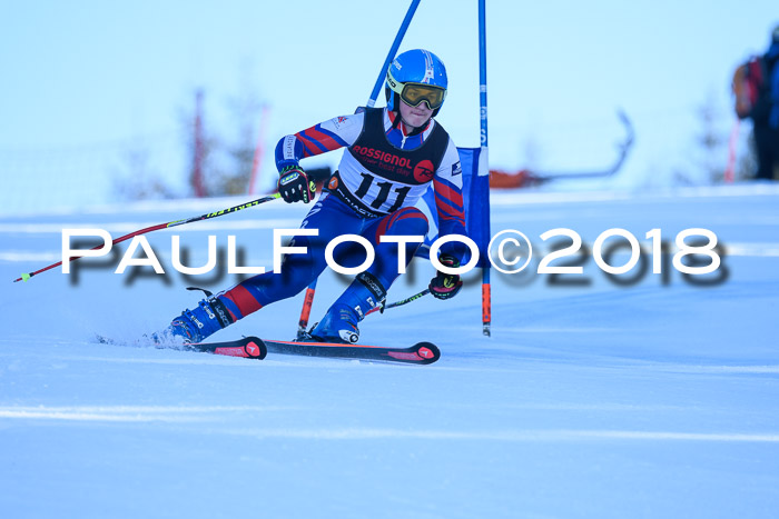Int. FIS Rennen Herren, RS, Maria Alm 10.01.2018