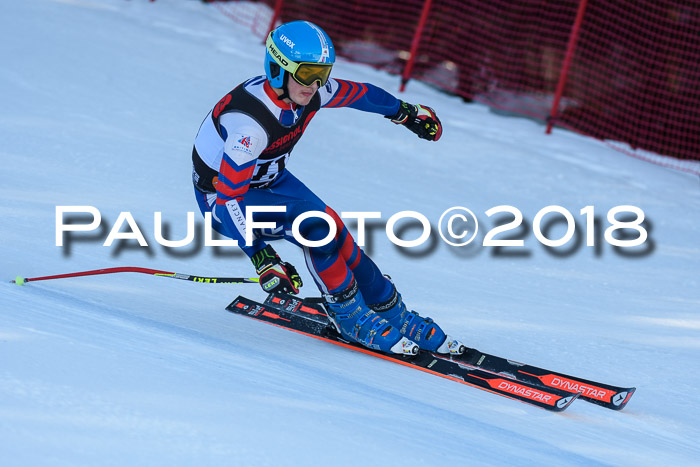 Int. FIS Rennen Herren, RS, Maria Alm 10.01.2018