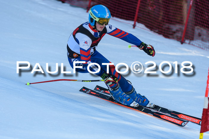 Int. FIS Rennen Herren, RS, Maria Alm 10.01.2018