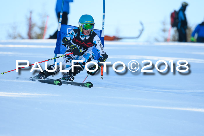 Int. FIS Rennen Herren, RS, Maria Alm 10.01.2018