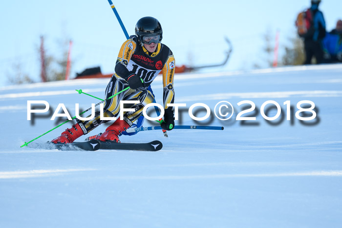 Int. FIS Rennen Herren, RS, Maria Alm 10.01.2018